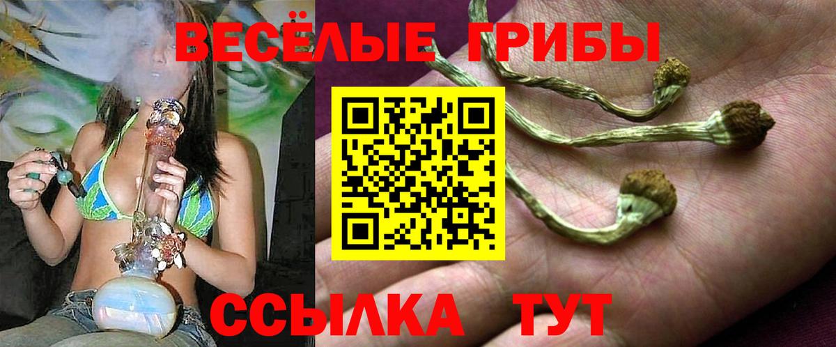 Менделеевск  Галлюциногенные грибы Psilocybe  Вход с VPN 